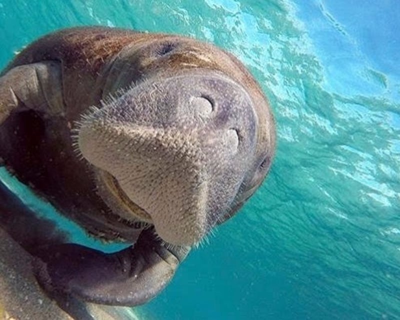 Snorkel the Famous Breakers in Riviera Beach