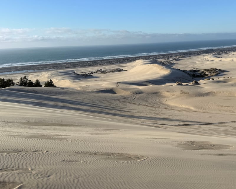 7-Hour ATV & UTV Rental in Winchester Bay