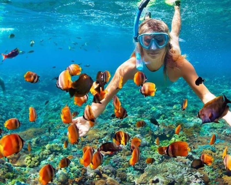 Coral Reef Snorkeling Boat Trip in St. Vincent