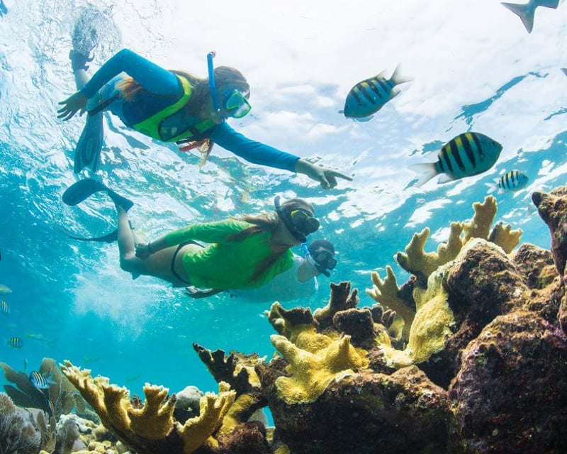 Private Snorkel Tour to John Pennekamp from Key Largo