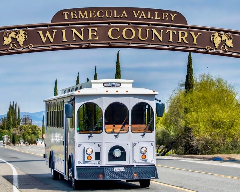4.5-Hour Wine Tasting Tour in Temecula