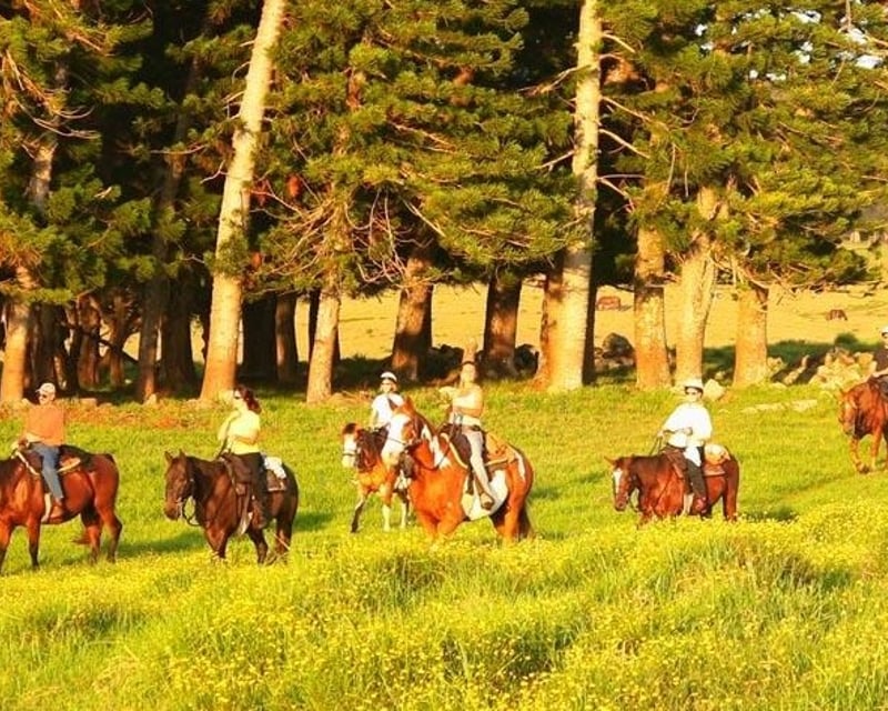 Private Paniolo Horseback Ride on Kohala Mountain