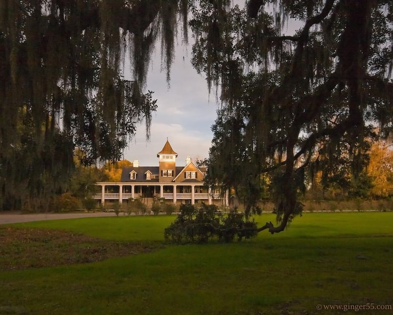 Guided Magnolia Plantation & Gardens Tour From Charleston