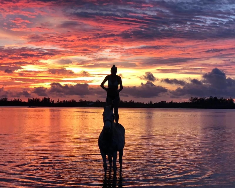 Bradenton Sunset Beach Horseback Ride