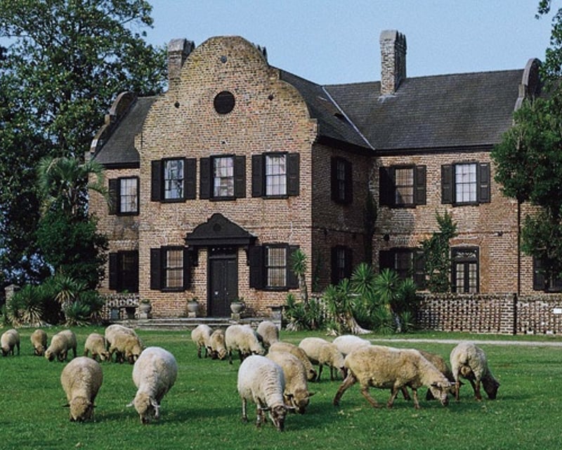 Guided Middleton Place Tour From Charleston