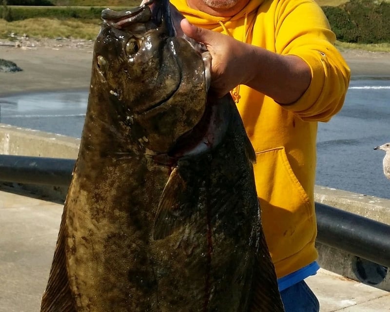 Guided Halibut & Rockfish Fishing Charter in Charleston