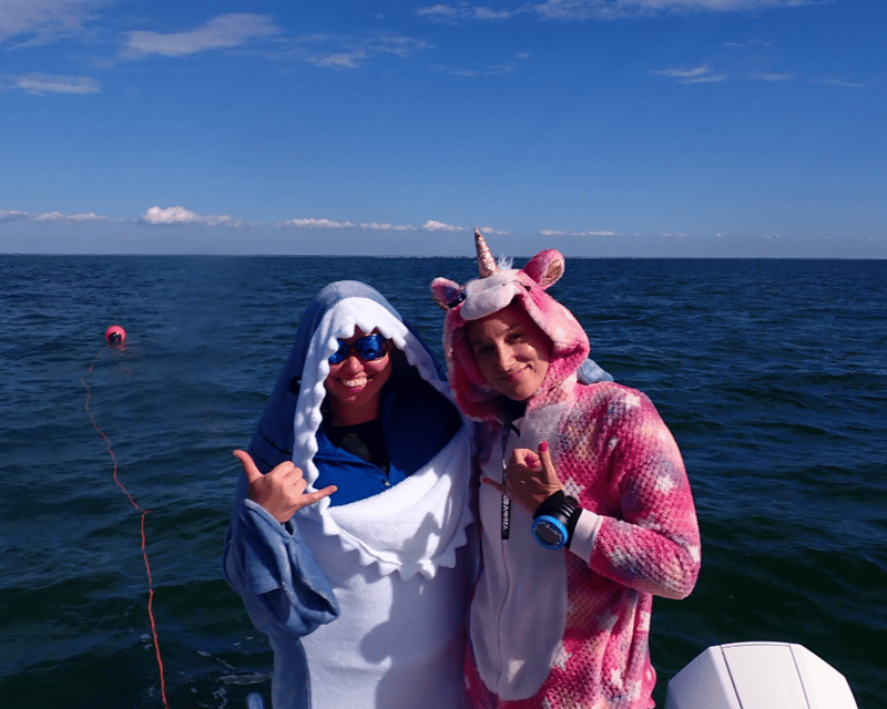 Hernando Beach Underwater Pumpkin Carving Dive