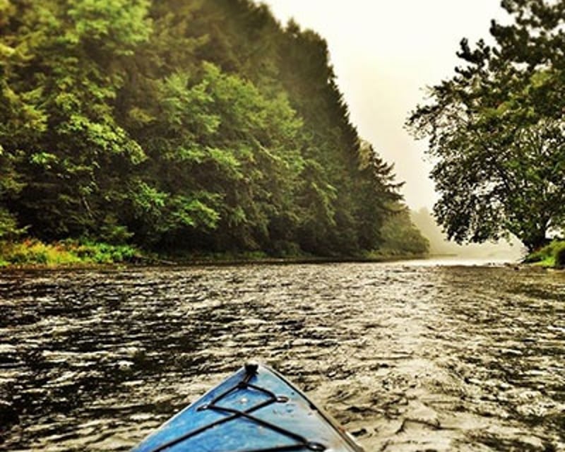 6.4-Mile Kayak Trip to Allegheny National Forest