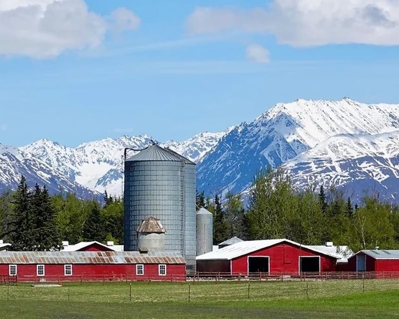 6-Hour Guided Tour of Hatcher Pass & Palmer