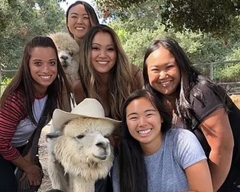 Alpaca Farm Tour in Carpinteria