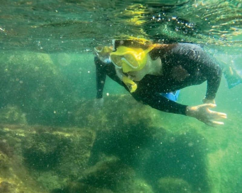 1-1.5-Hour Guided Snorkeling Tour at St. Andrews State Park