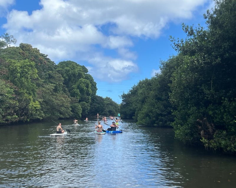 Guided 90-Minute Paddleboard & Kayak Tour in Haleiwa