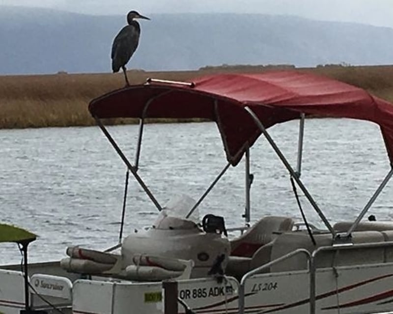 Family Pontoon Boat Rental near Klamath Falls