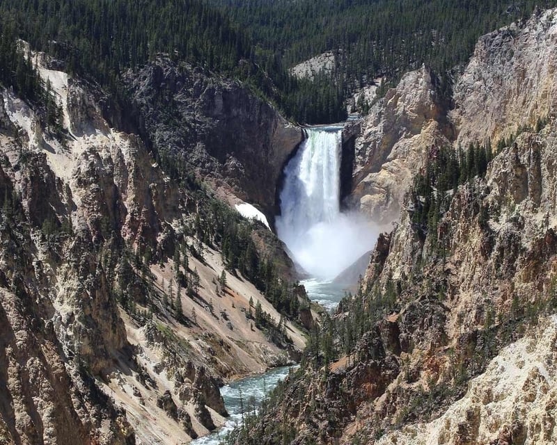Private Full-Day Yellowstone Wildlife Tour from Jackson