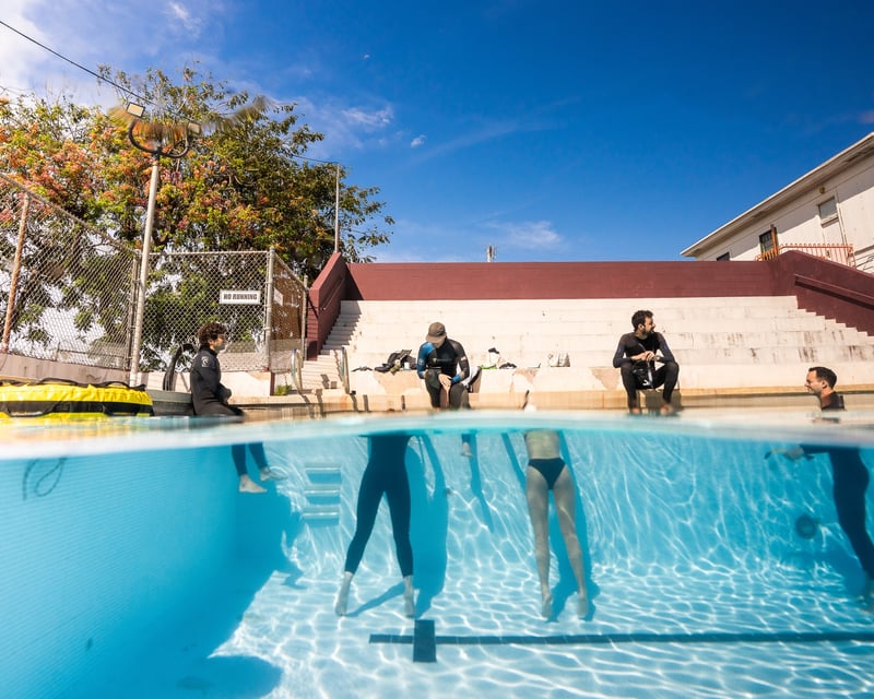 1-Day Beginner Freediving Course in Honolulu