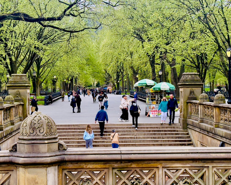 Central Park Pedicab Tour