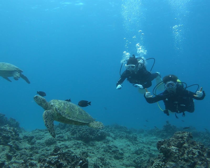 Beginner 2-Dive Scuba Boat Trip in Waikiki