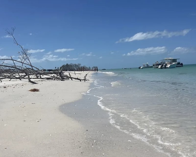 Private Sandbar & Shelling Boat Charter in Gulfport