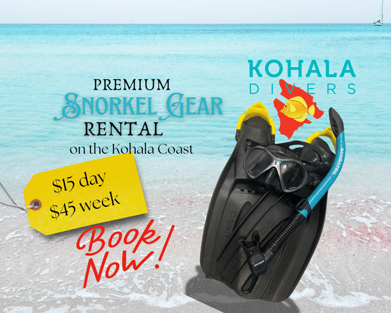 Custom Fit Snorkel Gear Rental in Kawaihae