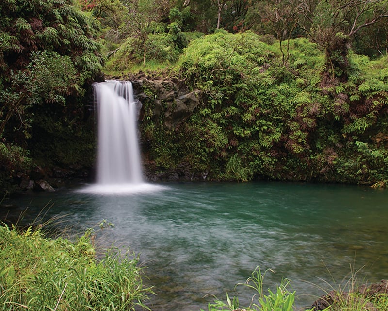 Maui Road to Hana Guided Tour