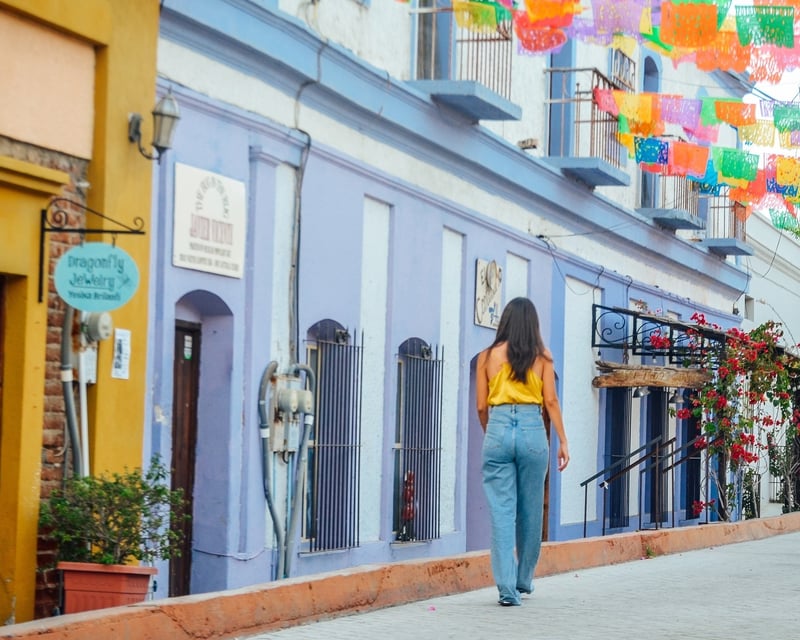 Private Todos Santos Tour with Five-Course Chef Lunch
