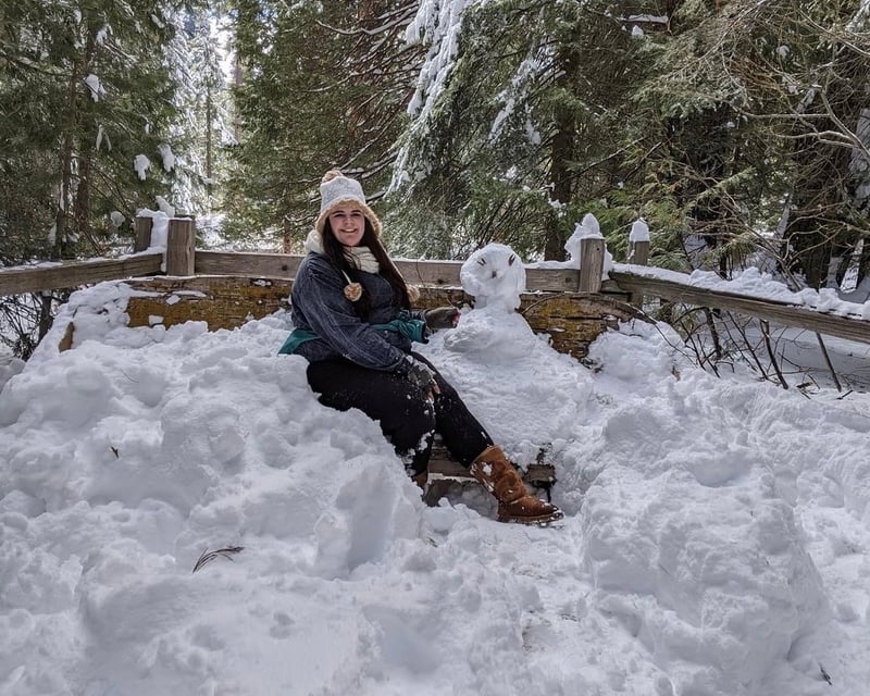 Winter Giant Sequoia Tour in Kings Canyon National Park