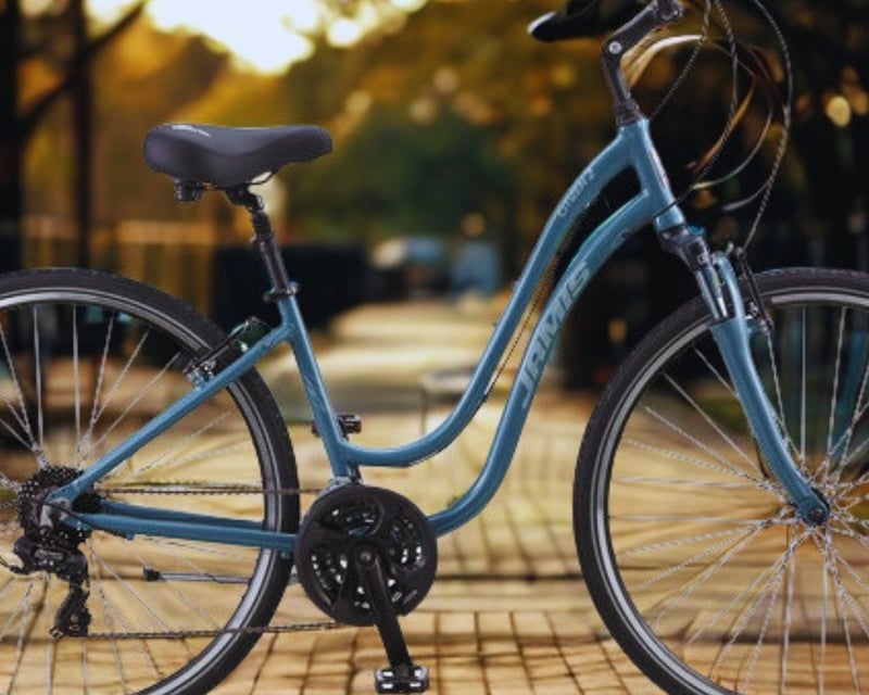 8-Hour Bike Rental in Petoskey