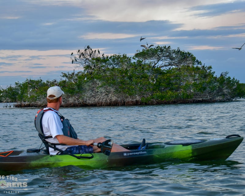 Sunset Bird Rookery Kayak Tour