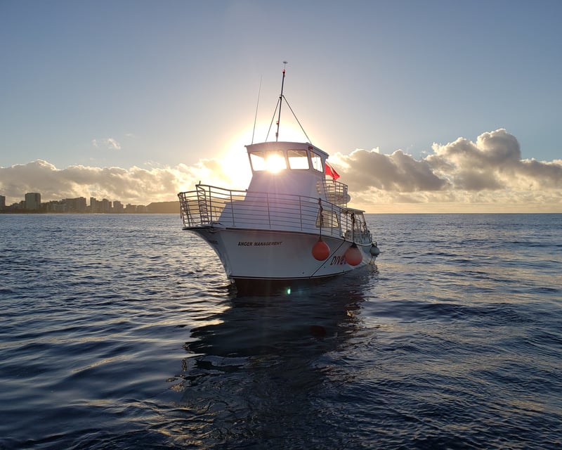 Bring-Your-Own Waikiki Coast Cruise
