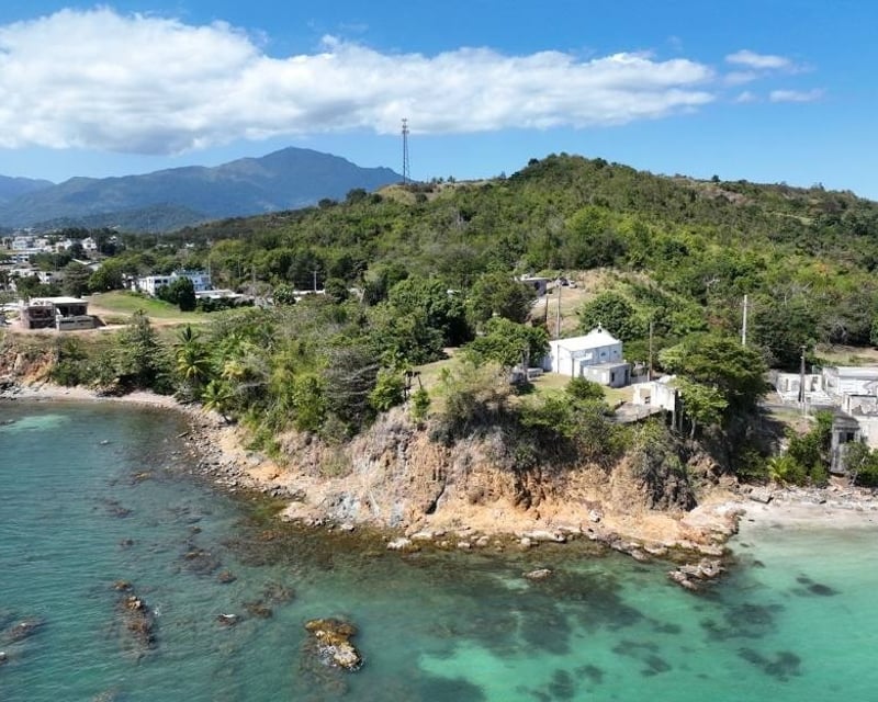 El Yunque South Side & Naguabo Day Tour from San Juan