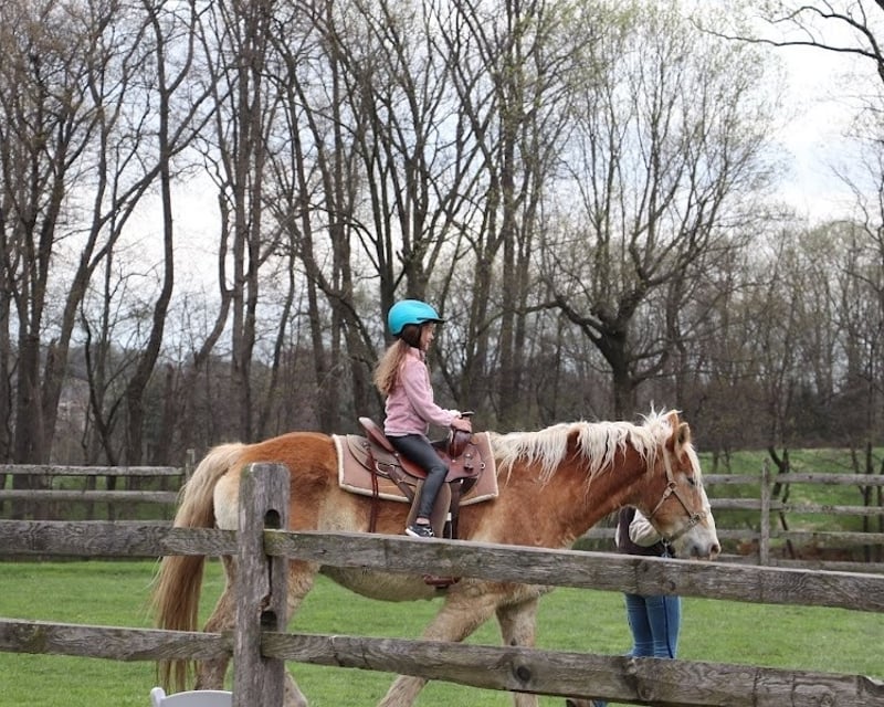 Pumpkin Patch Pony Ride Add-On in Elizabethtown, PA