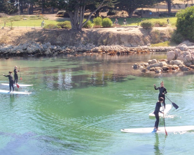 Stand Up Paddle Board Lesson & Tour on Monterey Bay