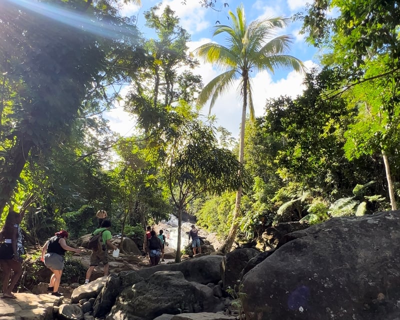 El Yunque Rainforest Waterslide & Luquillo Beach Tour