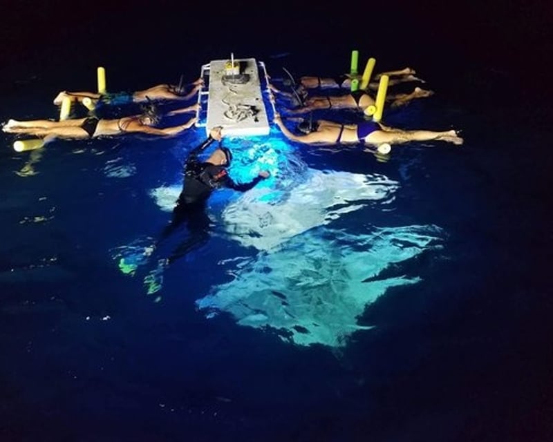 Manta Ray Night Snorkel in Kailua-Kona