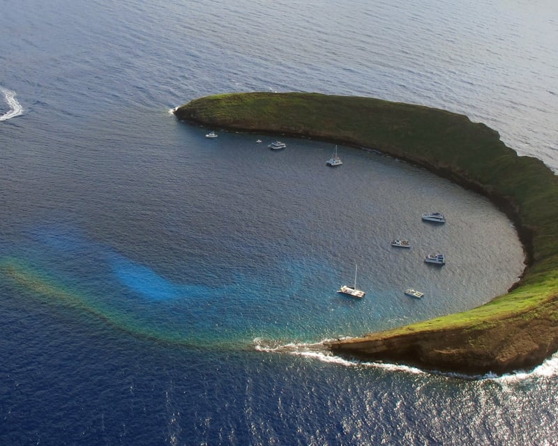 Advanced Molokini Backwall Scuba Dive from Maui