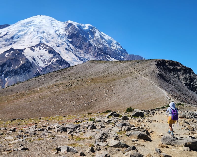 Mount Rainier National Park 6-Mile Guided Hike