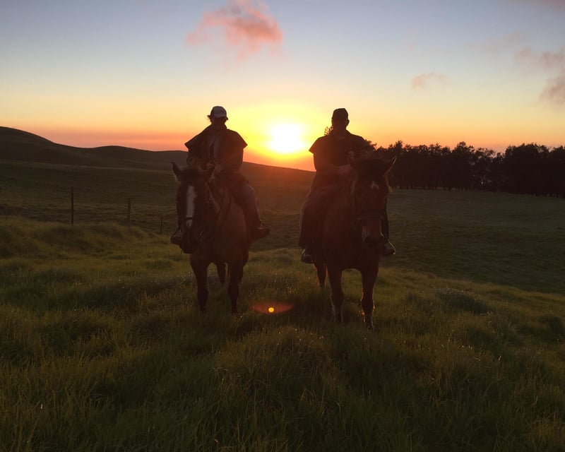 Sunset Horseback Ride on Kohala Mountain, Big Island