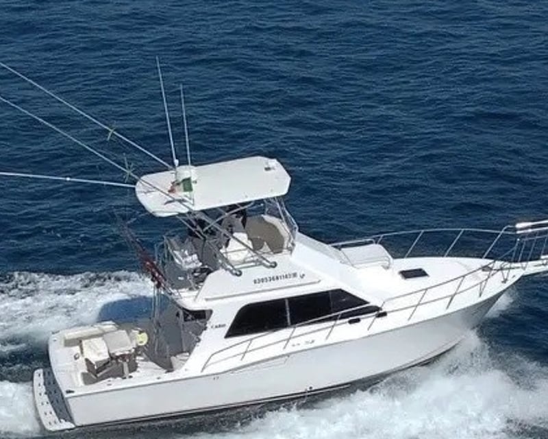 35' Flybridge Sportfishing Charter in Cabo San Lucas