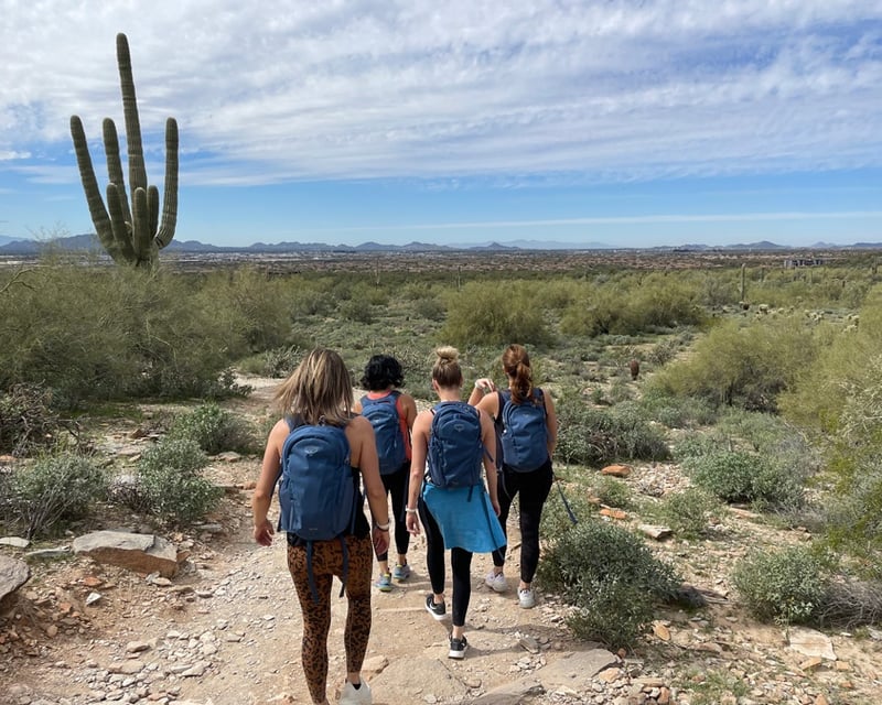 Guided Morning Hike in Scottsdale