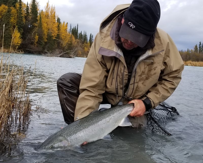 Full-Day Walk & Wade Steelhead Fishing on the Kasilof River