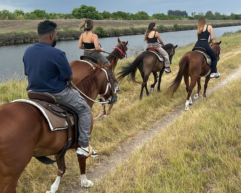 1-Hour Horseback Riding Tour in Miami Countryside