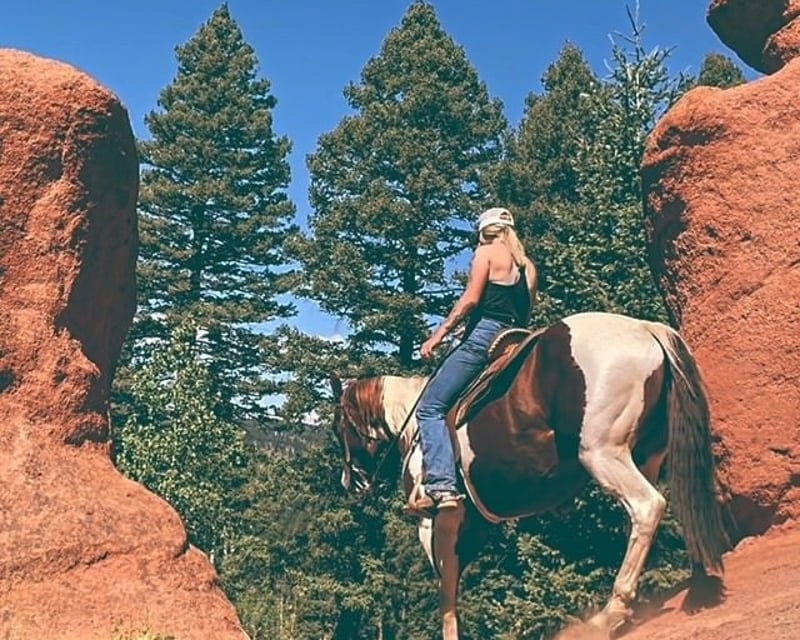 Unguided Red Rock Trail Ride in Pike National Forest