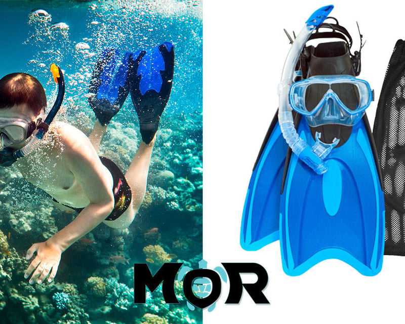 Explore Maui With Snorkel Gear Rental
