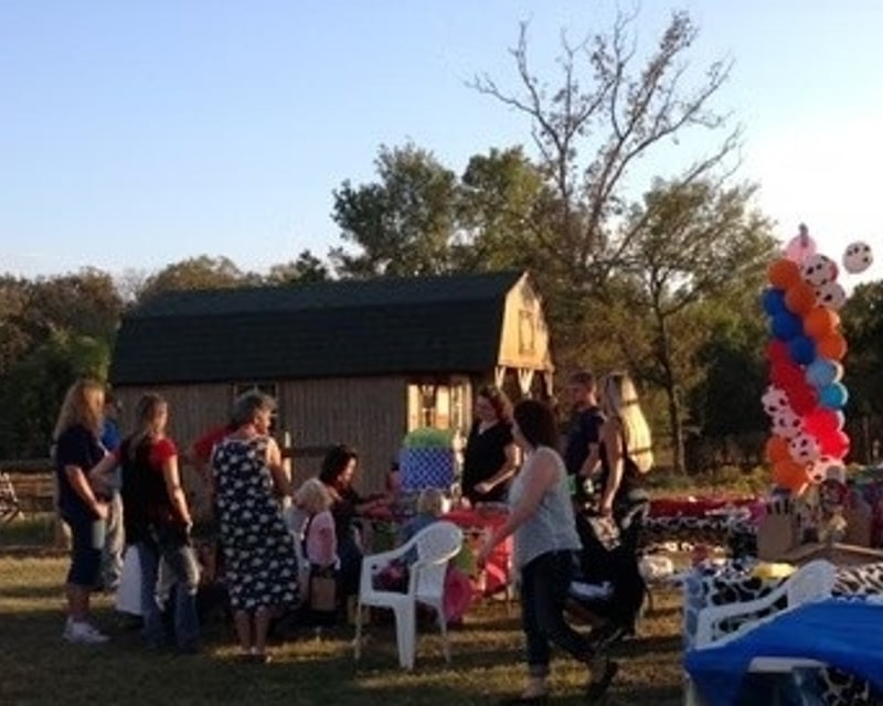 Horse Riding Birthday Party & Petting Zoo in Romance, AR