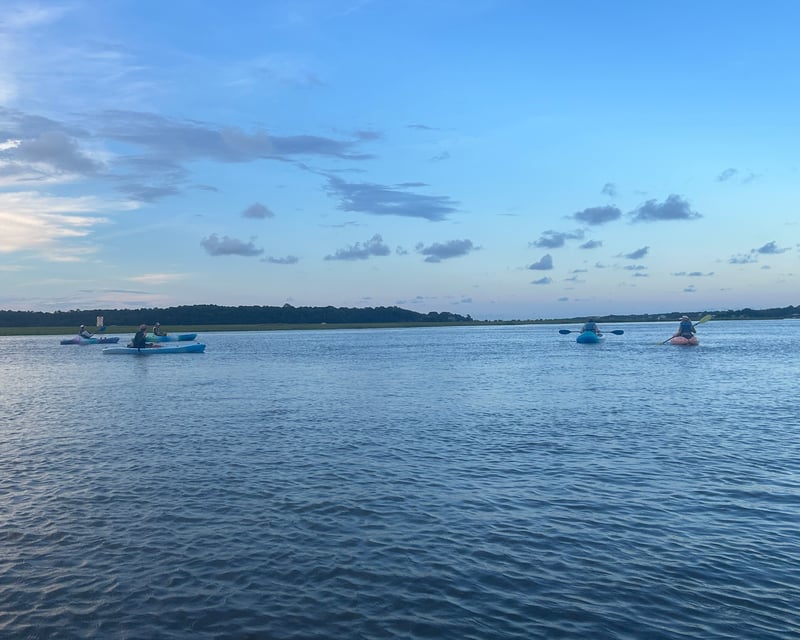Guided Tidal Kayak Tour in Edisto Island