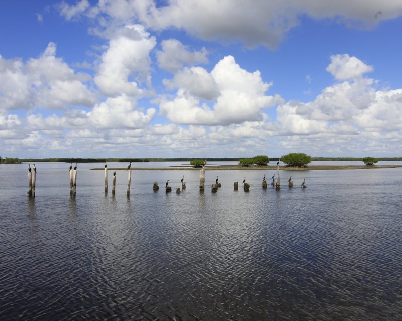 Family Fishing Charter in Naples