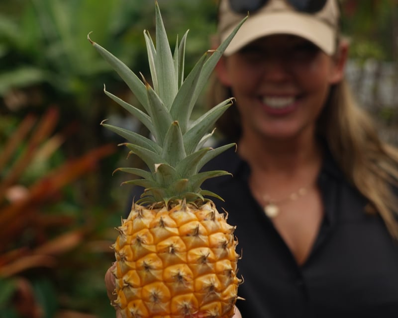 Private Oahu Circle Island Tour