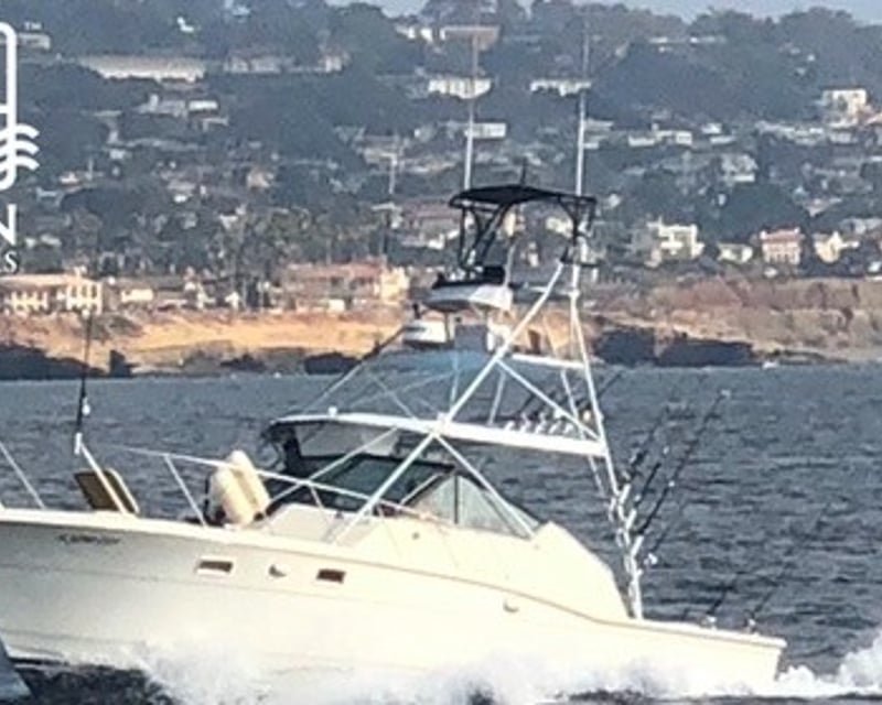 San Diego Offshore Birding Charter