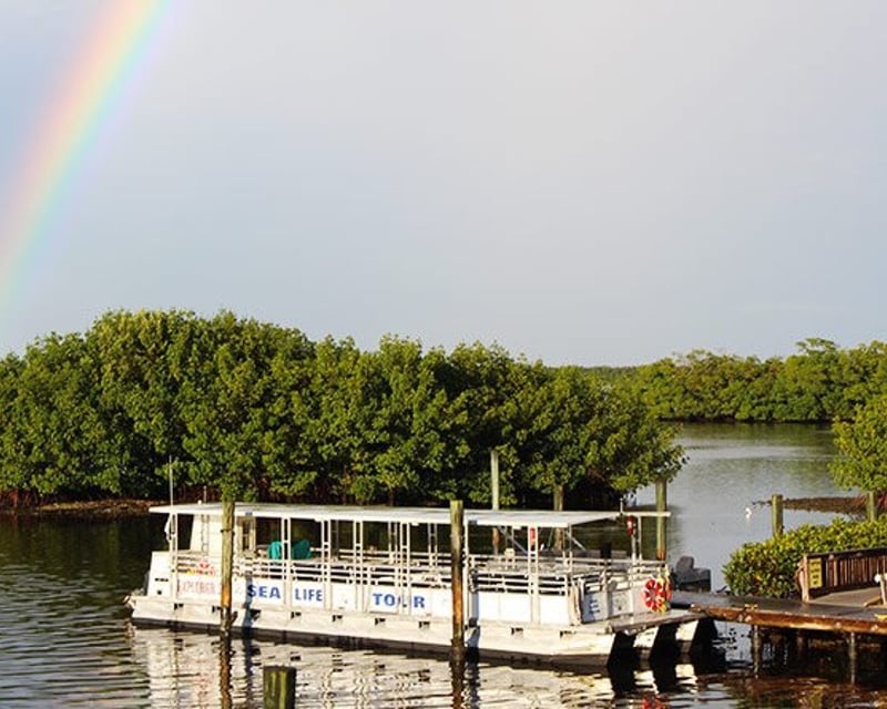 Tarpon Bay Touch Tank Cruise