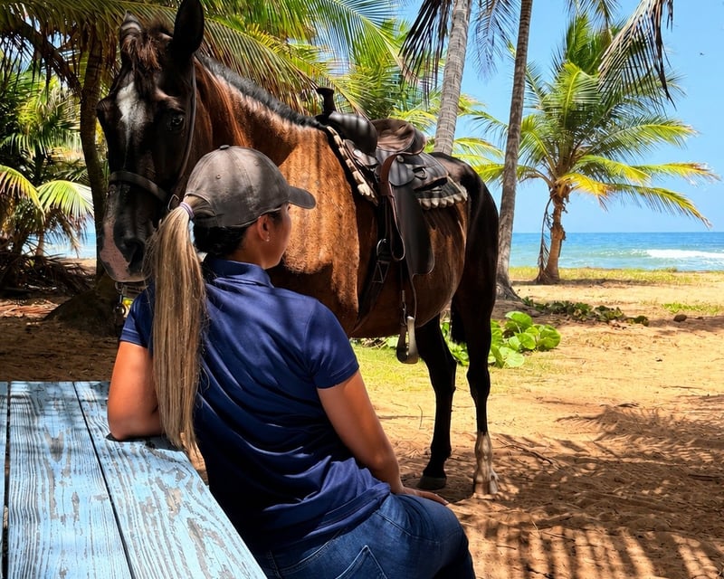 Beachside Horseback Ride in Palmas del Mar, Humacao
